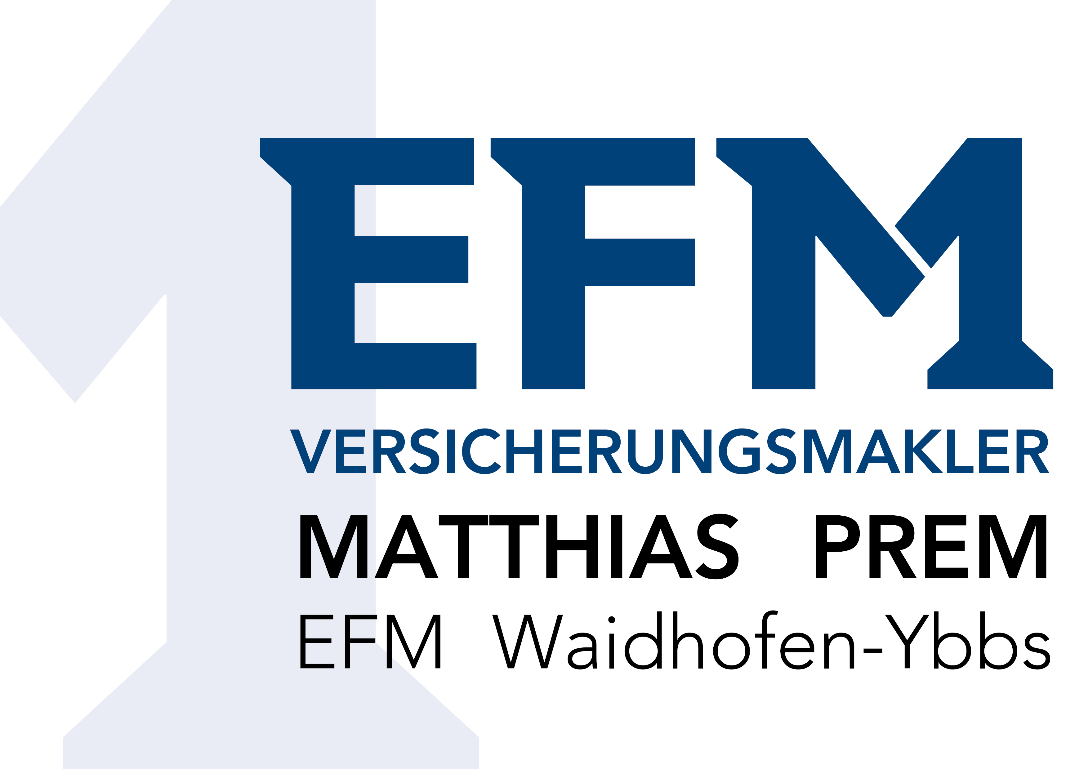 EFM Logo mit Prem2